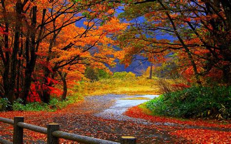 fall photo wallpaper|fall pictures wallpaper desktop.